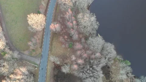 Top Down Country Road Next to Lake, Bare Trees, Aerial Forward Stock Footage 145539448