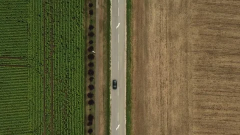 Top-Down Countryside Road with Passing Car Sunflower and Harvested Fields Stock Footage 314196216