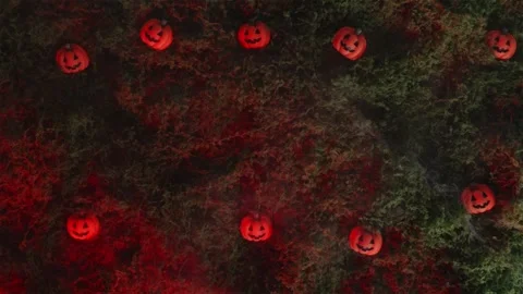 Top down cover shot of mini pumpkins on moss with soft fog Stock-Footage 342520341