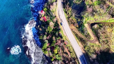 Top Down Descending Aerial View of Scenic Road Between Forest and Blue Sea Stock Footage 335144193