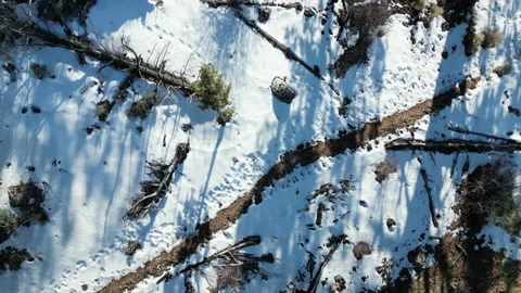 Top Down DescendIng Drone Shot In Big Bear Stock-Footage 233565126