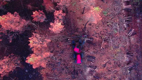 Top-down descending tracking of vehicle deforesting trees, Gironde Stock Footage 332065796