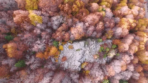 Top-Down Descent Over Autumn Forest and Rocky Terrain Stock Footage 324137832