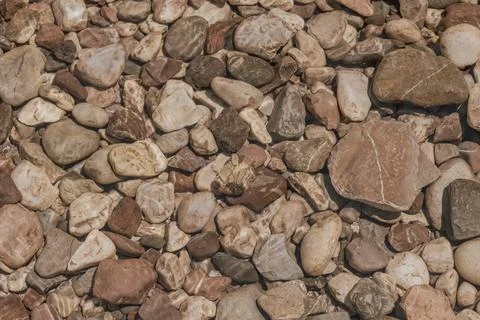 Top down detailed view of smooth round river stones and wet pebbles scatter.. Stock Photos
