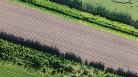 Top down diagonal view of plowed brown soil and agroforestry tree rows Stock Footage 336406438