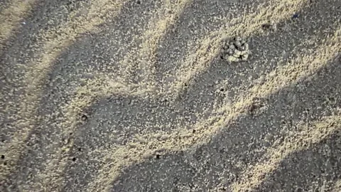 Top-Down Dolly Out Shot of Sand Pellets and Ripples on a Beach Stock Footage 339671131