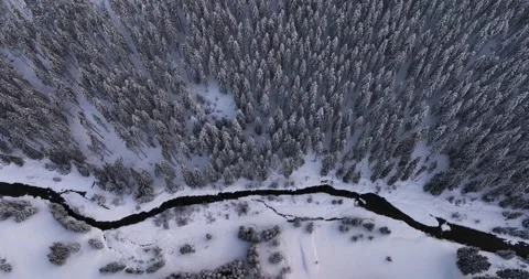 Top down drone aerial view through snowy rocky mountain evergreen trees Stock Footage 205094053