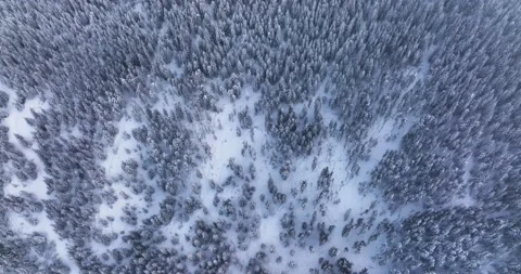 Top down drone aerial view through snowy rocky mountain evergreen trees Stock Footage 205095727