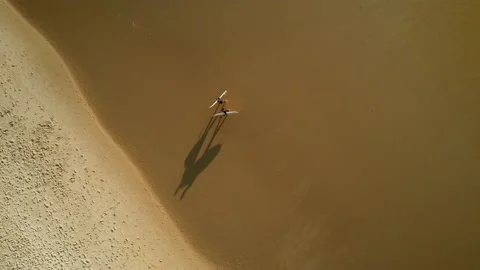 Top down drone aerial view of two surfers walking on a sandy beach Stock Footage 211883515