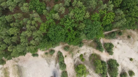 Top down, drone Aerial view from green forest to sand field. Stock Footage 230704928
