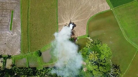 Top Down Drone Aerial View of Thick White Smoke from Stubble Burning Stock Footage 345945420