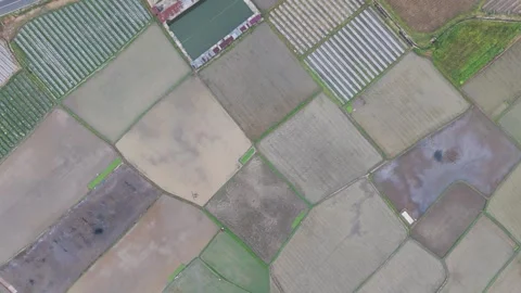 Top Down Drone Aerial View of Mixed Agricultural Land with Muddy Rice Fields Stock Footage 346008168