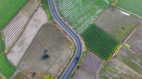 Top Down Drone Aerial View of Vehicles on Winding Rural Road Passing Stock Footage 346008217