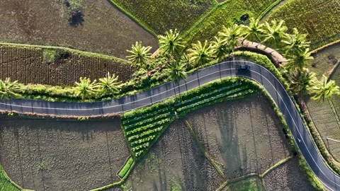 Top Down Drone Aerial View of White Car Driving on Winding Rural Road Stock Footage 346008452