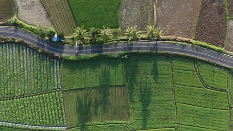 Top Down Drone Aerial View of Winding Rural Asphalt Road Passing Stock Footage 346008575