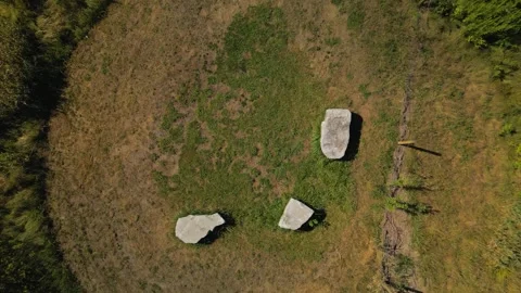 Top-down drone ascent over grassy clearing with rocks and trees Video stock 316658196