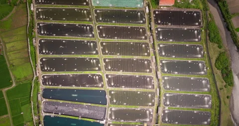Top down drone descent over aerated pond... | Stock Video | Pond5
