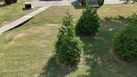 Top down drone drift over evergreen trees beside sidewalk and parking lot Stock Footage 346672094