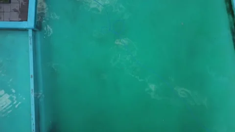 Top down drone flight across swimming pool surface Stock Footage 343628566