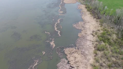 Top-down drone flight along a natural riverbank and green field. Stock Footage 312416674