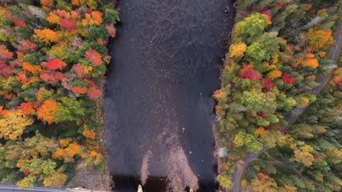 Top Down Drone Flight Along Autumn River with Colorful Forest Stock Footage 321379179