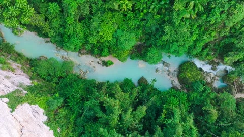 Top Down Drone Flight Along Turquoise River In Cebu Jungle Kawasan Source Stock Footage 333273132