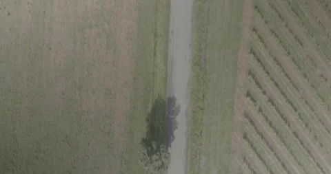 Top Down Drone Flight Along a Country Road in Tuscany, Italy Stock-Footage 343932597