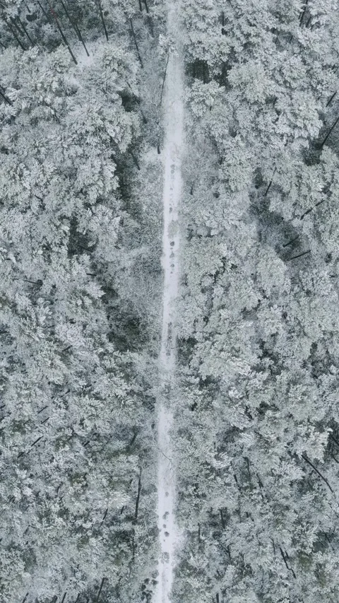 Top down drone flight over snowy winter forest and road in Barycz Valley Stock Footage 329138340