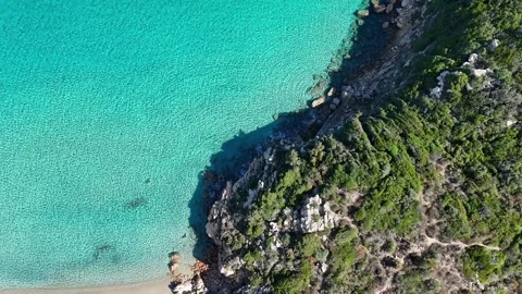 Top-Down Drone Flight Over Vegetation and Rocky Coast in Sardegna Vídeo Stock 332639094