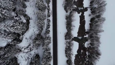Top-Down Drone Flight Over Snow-Covered Path Through Pine Forest in Sout Vídeo Stock 336545576