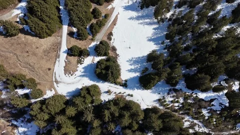 Top-Down Drone Flight Over Pine Forest with Snow and Earth in Val Ridann Vídeo Stock 336775801