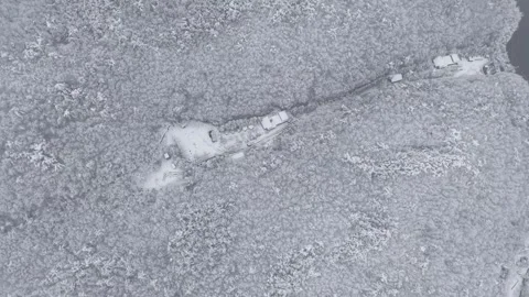 Top Down Drone Flight Over Snow Covered Forest During Heavy Snowfall Stock Footage 344247800