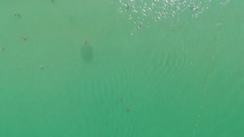 Top-down drone flight from sea to Patong Beach shoreline Vídeos de archivo 333414509