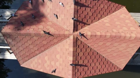 Top-down Drone Flying Over Bridge with Gazebo and Birds Reflected in Water Stock Footage 310765050