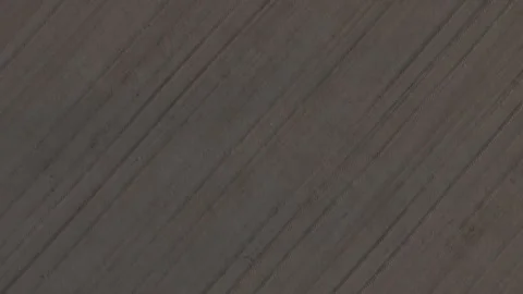 Top-down drone flyover above young maize crop rows in the Po Valley, Lombardy Stock Footage 342209484