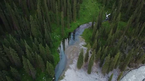 Top Down Drone Follow Shot Of Clear Stream Reveal. Kyrgyzstan, Karakol Vidéo 332937158