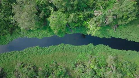 Top-down drone following river flowing horizontally across frame, Congo Stock Footage 331999390