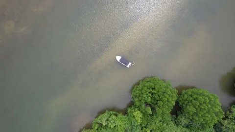 Top down drone footage above a boat on the Koggala Lake Stock Footage 166729299