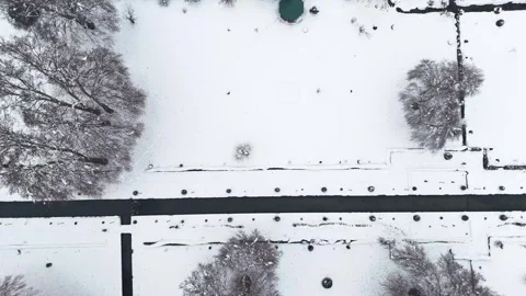 Top down drone footage capturing the raw winter beauty of Verinag Park with Stock Footage 311129410
