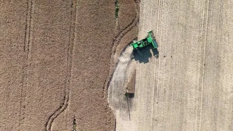 Top-Down Drone Footage of Combine Harvester in Lithuanian Wheat Field 스톡 동영상 288773511
