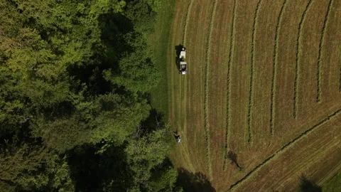 Top down drone footage of hay baling and bale collection on farmland Stock Footage 334570374