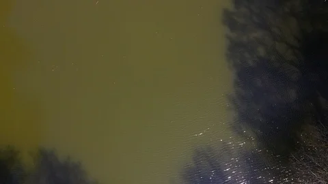 Top down drone footage over lake in forest Stock Footage 108397810