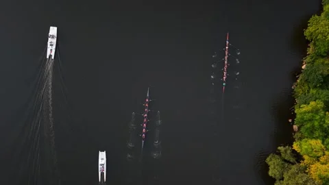 Top-down drone footage of a rowing race on the Charles River near Harvard Stock Footage 346003574