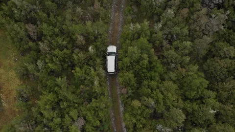 Top-Down Drone Footage of SUV Driving Through Forest Stock Footage 145720359