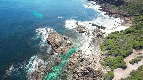 Top-Down Drone Glimpse of Pristine Oceanfront Terrain 動画素材 239896545