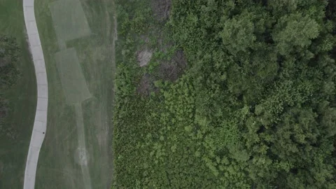 Top Down Drone Golf Course near woods Stock Footage 194164682