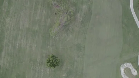 Top Down Drone Golf Course Stock Footage 194170321