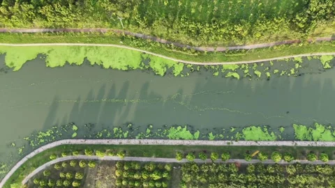 Top-Down Drone Moves Left Over Tree-Lined Canal in Songjiang Stock Footage 340911721