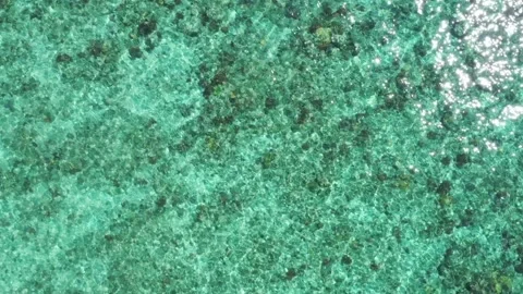 Top-down drone over crystal turquoise water and coral, Gili Trawangan Видео 344986226