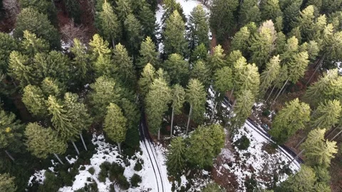 Top Down Drone Over Snowy Forest Road Hairpin Turn 스톡 동영상 329557848